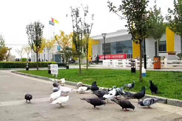 北京東方時尚駕校園區