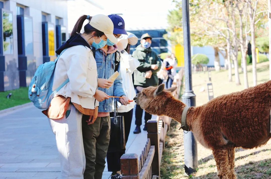 「東方時尚駕校」