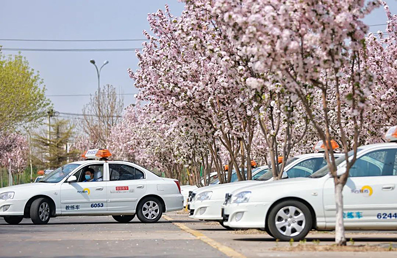 從北京東方時尚駕校開啟您的駕駛人生