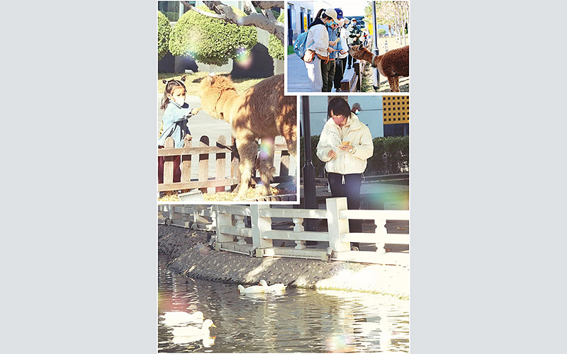 北京東方時尚駕校休閑區